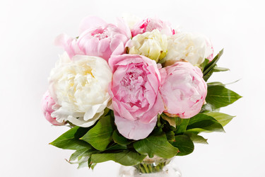 Similar image 2328508