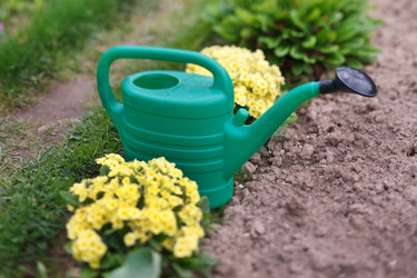 Similar image 2328513