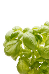 Similar image 2328517