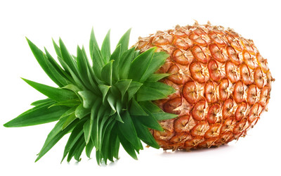 Similar image 2328548