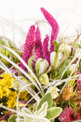 Similar image 2328554