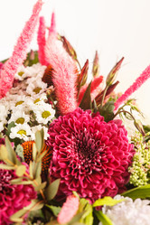 Similar image 2328556