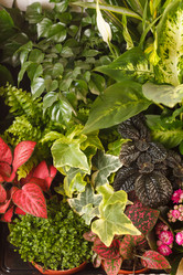 Similar image 2328558