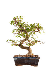 Similar image 2328562