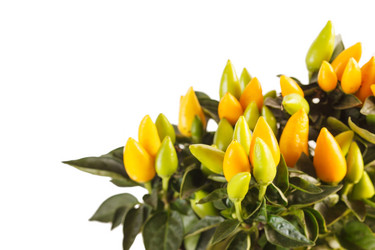 Similar image 2328563