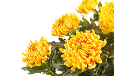 Similar image 2328565