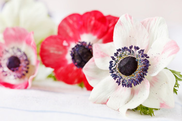 Similar image 2328572