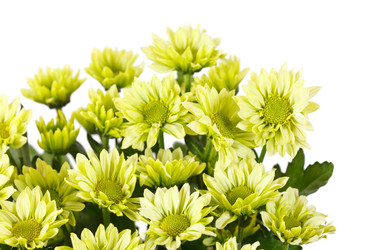 Similar image 2328574