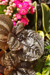 Similar image 2328583