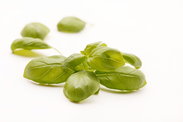 Similar image 2328584