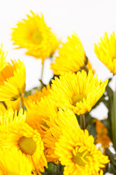 Similar image 2328589