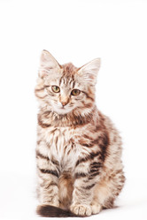 Similar image 2328590