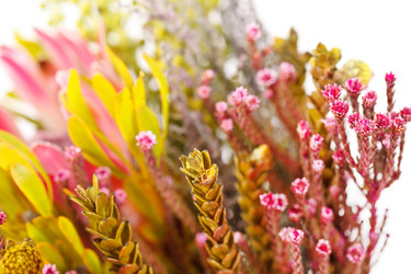 Similar image 2328592