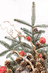 Similar image 2328597