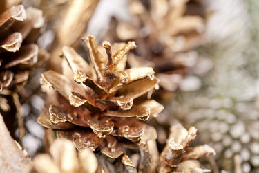 Similar image 2328599