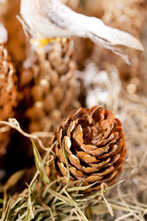 Similar image 2328605