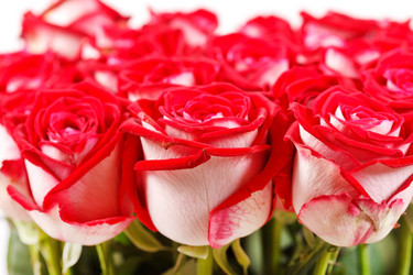 Similar image 2328606