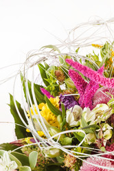 Similar image 2328675