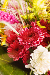 Similar image 2328676