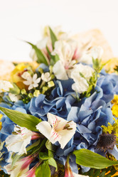 Similar image 2328678