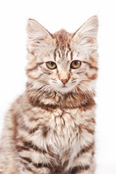 Similar image 2328677