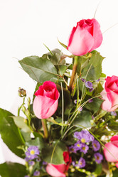 Similar image 2328716