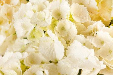 Similar image 2328719