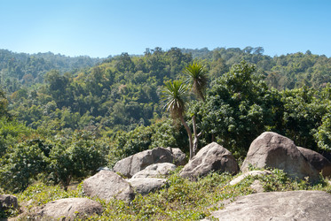 Similar image 2328757