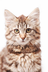 Similar image 2328777