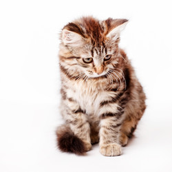 Similar image 2328778