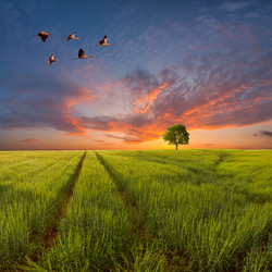 Similar image 2328959