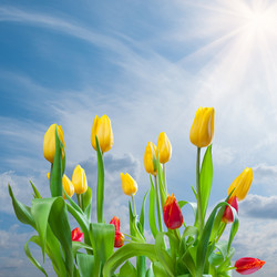 Similar image 2328961