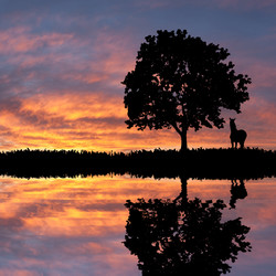 Similar image 2328963