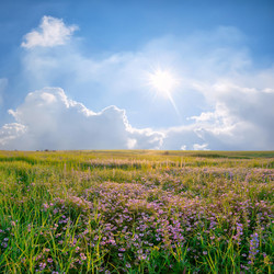 Similar image 2328971