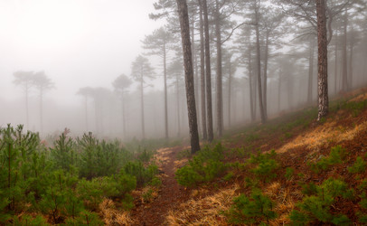 Similar image 2328973