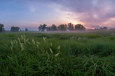 Similar image 2328974