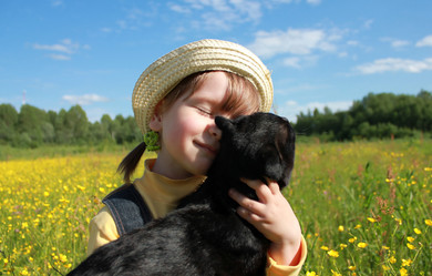 Similar image 2328989