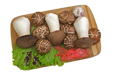 Similar image 2329030