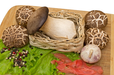 Similar image 2329032