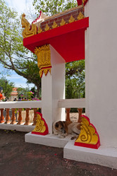 Similar image 2329221