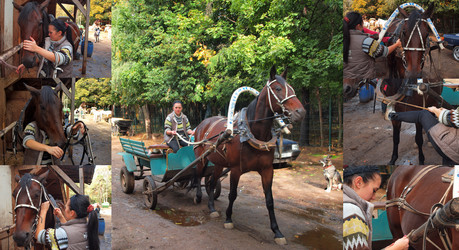 Similar image 2329256