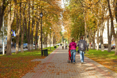 Similar image 2329359