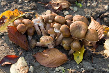 Similar image 2329539