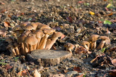 Similar image 2329542