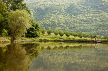 Similar image 2329544