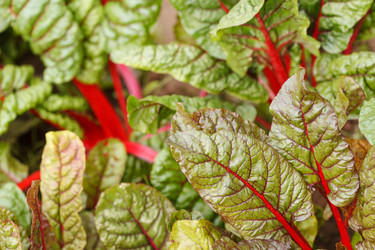 Similar image 2329660