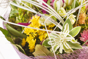 Similar image 2329682