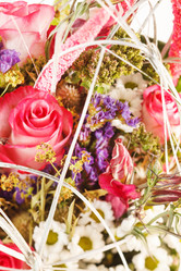 Similar image 2329683