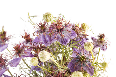 Similar image 2329761