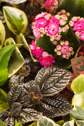 Similar image 2329766